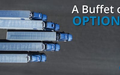 Dot Transportation: A Buffet of Driving Options