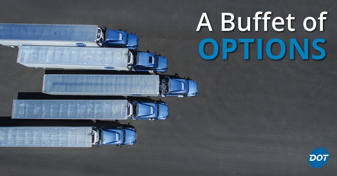 Dot Transportation: A Buffet of Driving Options